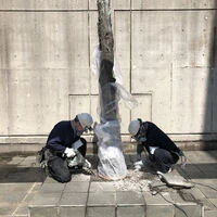 画像1429：施工事例